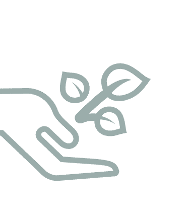transparent hand holding blue flower